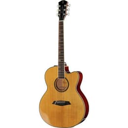 Larry Carlton A4 Muziekinstrumenten