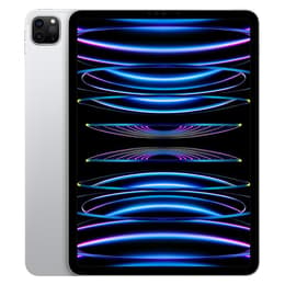 iPad Pro 11" (2022) 4e generatie 2000 GB - WiFi - Zilver