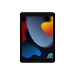 iPad 10.2" (2021) 9e generatie 64 GB - WiFi + 4G - Zilver