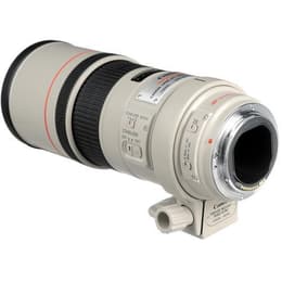 Lens EF 300mm f/4