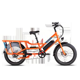 Rad Power Bikes radwagon 4 Elektrische fiets