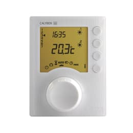 Delta Dore Calybox 230 Thermostaat