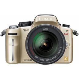 Andere Lumix DMC-GH1 - Goud + Panasonic Panasonic Lumix G VARIO 14-140 mm f/4-5.8 f/4-5.8 f/3.5-5.6