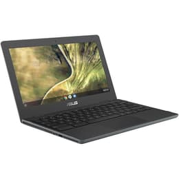 Asus Chromebook C204 Celeron 1.1 GHz 32GB SSD - 4GB QWERTY - Zweeds