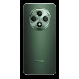 Oppo Reno12 FS 512GB - Groen - Simlockvrij