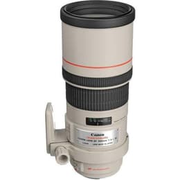 Lens Canon EF 300mm f/4 300mm f/4