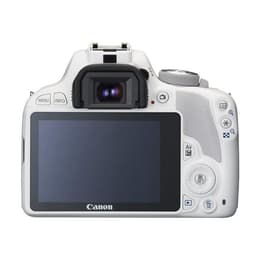 Reflex - Canon EOS 100D Wit + Lens Canon EF-S 18-55mm f/3.5-5.6 IS STM