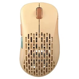 Pulsar Xlite V2 Wireless (Size 2) Medium Muis Draadloos