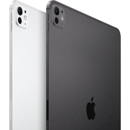 iPad Pro 13 M4 (2024) 7e generatie 512 Go - WiFi + 5G - Spacezwart