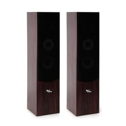 Evidence Acoustics EA700-WAL PA speaker