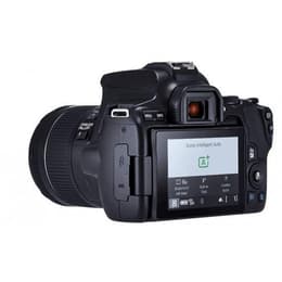 Spiegelreflexcamera - Canon EOS 250D Zwart + Lens Canon EF-S 18-55mm f/4-5.6 IS STM