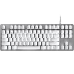 Razer Toetsenbord QWERTY Engels (VS) Verlicht Blackwidow Lite