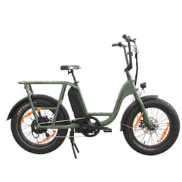 Rad Power Bikes RadRunner Elektrische fiets