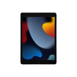 iPad 10.2" (2021) 9e generatie 256 GB - WiFi + 4G - Spacegrijs