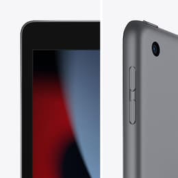 iPad 10.2" (2021) 9e generatie 256 GB - WiFi + 4G - Spacegrijs