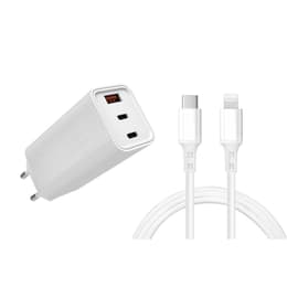 Kabel en Wandplug (USB-C + Lightning) 65W - WTK