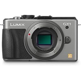 Lumix DMC-GX1 - Grijs