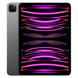 iPad Pro 11 (2022) 4e generatie 1000 Go - WiFi + 5G - Spacegrijs