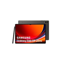 Galaxy Tab S9 Ultra 1000GB - Grijs - WiFi