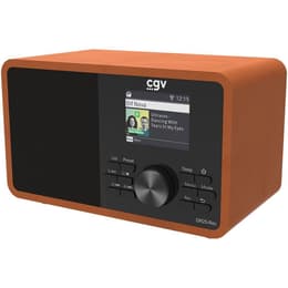 Cgv DR25-REC Radio alarm