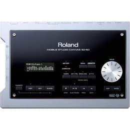 Roland SD-50 Audio accessoires