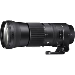 Sigma Lens 150-600 mm F5-6.3 DG OS HSM 150-600mm F/5-6.3