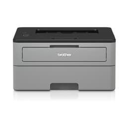 Brother HL-L2310D Monochrome Laser