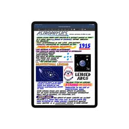 iPad Pro 11 (2021) 3e generatie 2000 Go - WiFi + 5G - Spacegrijs