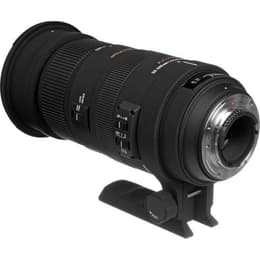 Sigma Lens 500MM F / 4.5 APO EX DG HSM + 2X SIG 500mm f/4.5