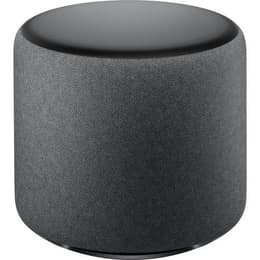 Amazon Echo Sub Speaker - Grijs