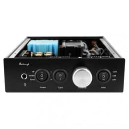 Audio-Gd NFB-11.38 Geluidsversterkers