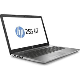 HP 255 G7 15" Ryzen 5 2.1 GHz - SSD 256 GB - 8GB AZERTY - Frans