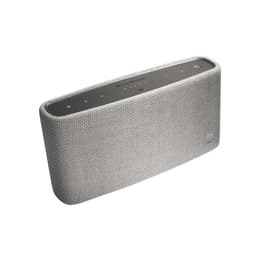 Cambridge Yoyo (S) Speaker Bluetooth - Grijs