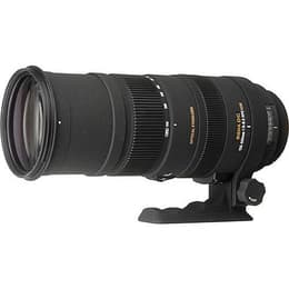Sigma Lens 150-500mm f/5-6.3 DG OS HSM 150-500mm f/5-6.3