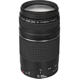 Lens Canon EF 75-300 mm f/4-5.6