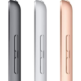 iPad 10.2 (2020) 8e generatie 128 Go - WiFi + 4G - Zilver