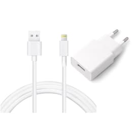 Kabel en Wandplug (USB + Lightning) 12W - WTK
