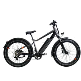 Rad Power Bikes RadRhino 6 Plus Elektrische fiets