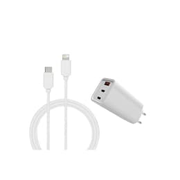 Kabel en Wandplug (USB-C + Lightning) 65W - WTK