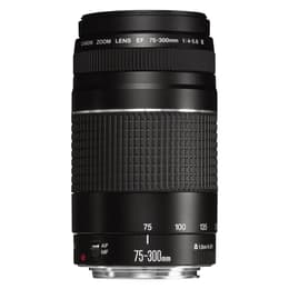 Canon Lens EF 75-300mm f/4.0-5.6