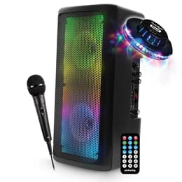 Festisound SRX206 PA speaker