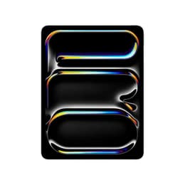 iPad Pro 13" (2025) 8e generatie 256 GB - WiFi - Spacezwart