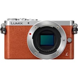 Hybride camera Panasonic Lumix DMC-GM1 Alleen Body - Oranje