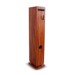 Inovalley Woodtower Speaker Bluetooth - Bruin