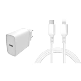 Kabel en Wandplug (USB-C + Lightning) 20W - WTK