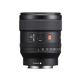 Sony Lens 24mm f/1.4 GM FE Sony E 24mm f/1.4
