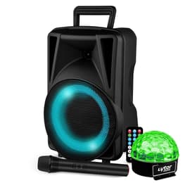 Festisound Karaoké avec USB SD Bluetooth TWS - Micro sans fil PA speaker
